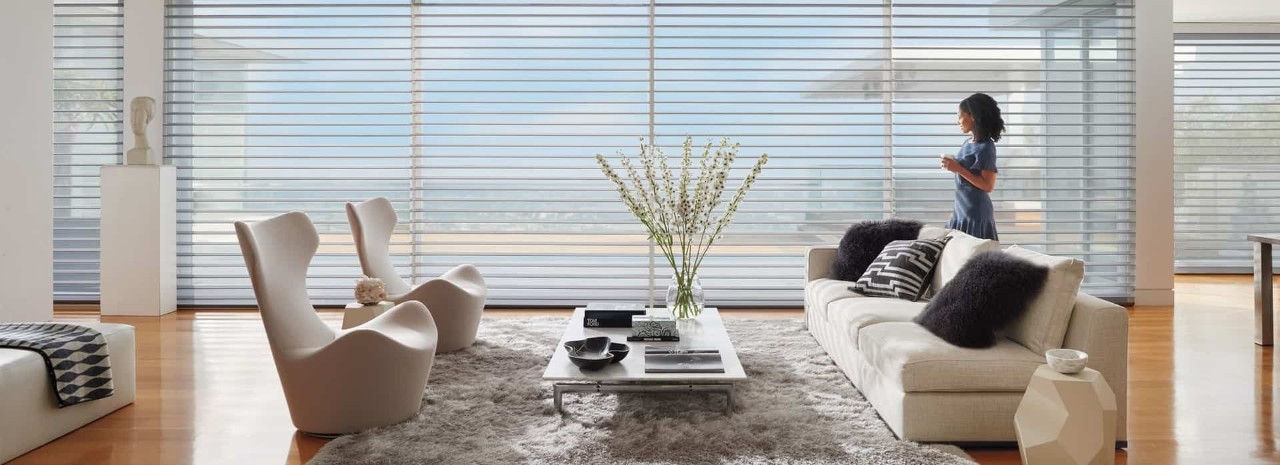 Shades near Youngstown, Ohio (OH), that offer privacy and light control, including Hunter Douglas Silhouette® Window Shadings